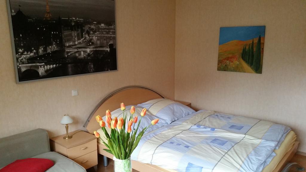 Wellness Apartments Sophienhoehe Am Teich 梅谢尼希 客房 照片